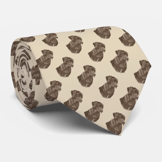 portret van chocoladebruine labrador retreiver stropdas (Opgerold)