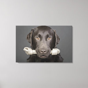 Portret van chocoladelabrador canvas afdruk