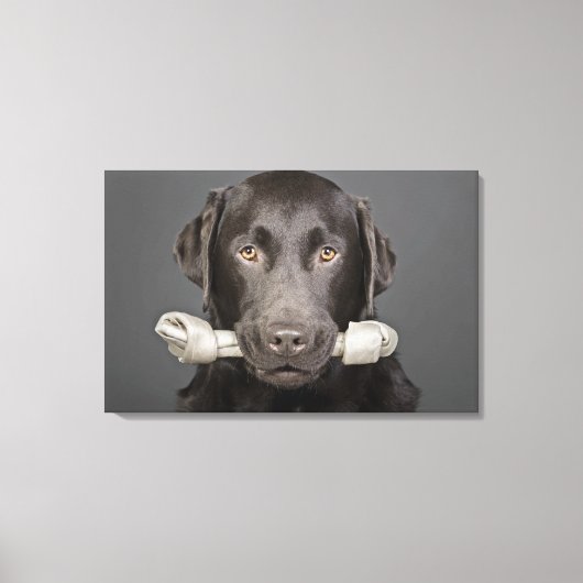 Portret van chocoladelabrador canvas afdruk (Voorkant)