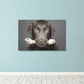 Portret van chocoladelabrador canvas afdruk (Insitu (Houten vloer))