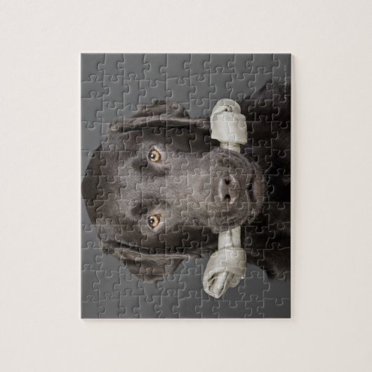 Portret van chocoladelabrador legpuzzel (Verticaal)