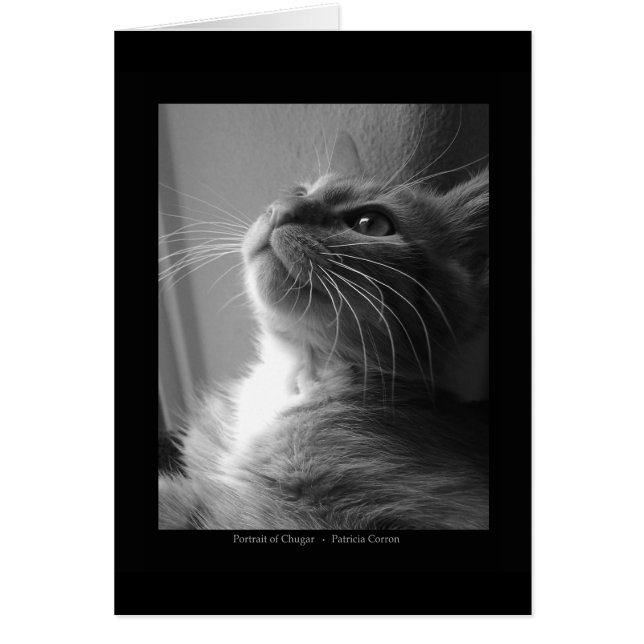 Portret van Chugar (Voorkant)