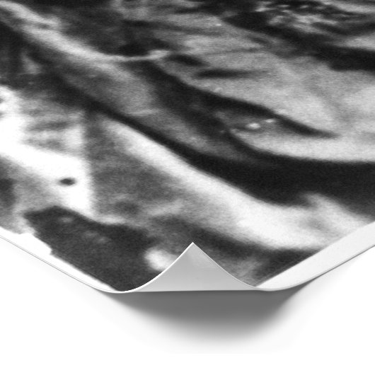 Portret van Clara Barton Poster (Hoek)