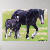 Portret van Clydesdale Mare en Foal Horse Poster (Voorkant)