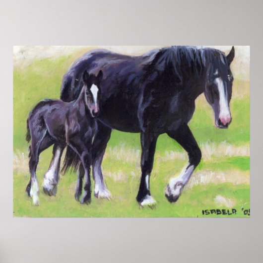 Portret van Clydesdale Mare en Foal Horse Poster (Voorkant)