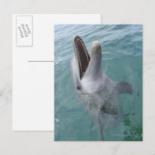 Portret van Common Bottlenose Dolphin, Caribisch g Briefkaart (Voorkant / Achterkant)