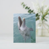 Portret van Common Bottlenose Dolphin, Caribisch g Briefkaart (Staand voorkant)