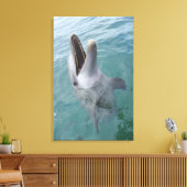 Portret van Common Bottlenose Dolphin, Caribisch g Canvas Afdruk (Insitu (Woonkamer))