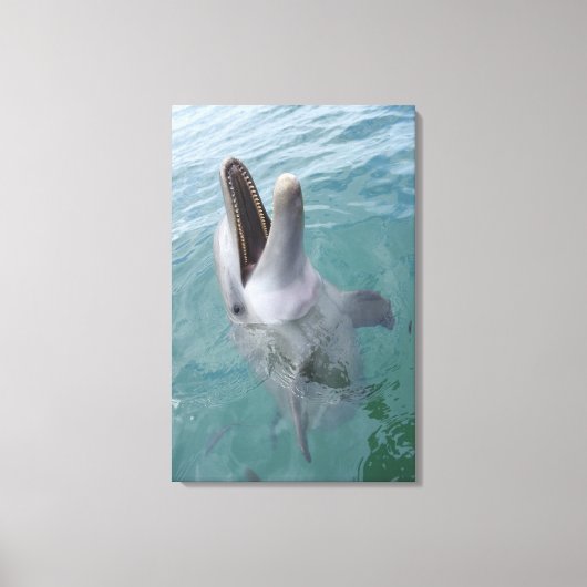 Portret van Common Bottlenose Dolphin, Caribisch g Canvas Afdruk (Voorkant)
