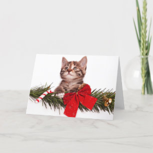 Portret van Cute Kerstmis Kitten Feestdagen Kaart