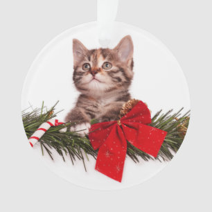 Portret van Cute Kerstmis Kitten Ornament