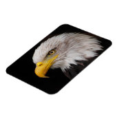 Portret van de adelaar magneet (Linkerzijde)