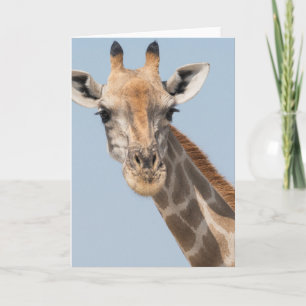 Portret van de Angolese Giraffe Kaart