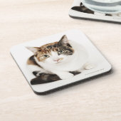 Portret van de Calico-kat Bier Onderzetter (Linkerzijde)