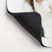 Portret van de Calico-kat Muismat (Hoek)