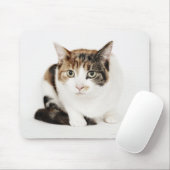 Portret van de Calico-kat Muismat (Met muis)