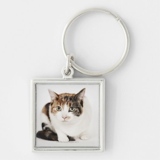Portret van de Calico-kat Sleutelhanger (Voorkant)