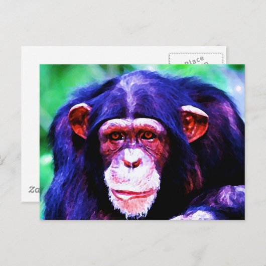 Portret van de chimpansee briefkaart (Voorkant / Achterkant)