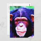 Portret van de chimpansee briefkaart (Voorkant / Achterkant)