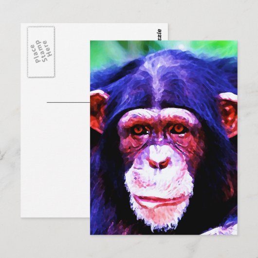Portret van de chimpansee briefkaart (Voorkant / Achterkant)