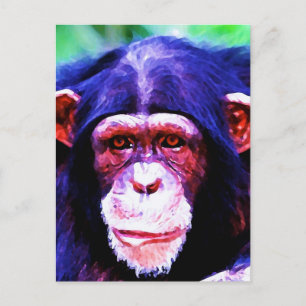 Portret van de chimpansee briefkaart