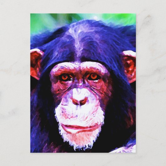Portret van de chimpansee briefkaart (Voorkant)