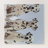 Portret van de Dalmatische familie Legpuzzel (Horizontaal)