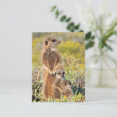Portret van de familie Meerkat Briefkaart (Staand voorkant)