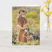 Portret van de familie Meerkat Kaart (Gele Bloem)