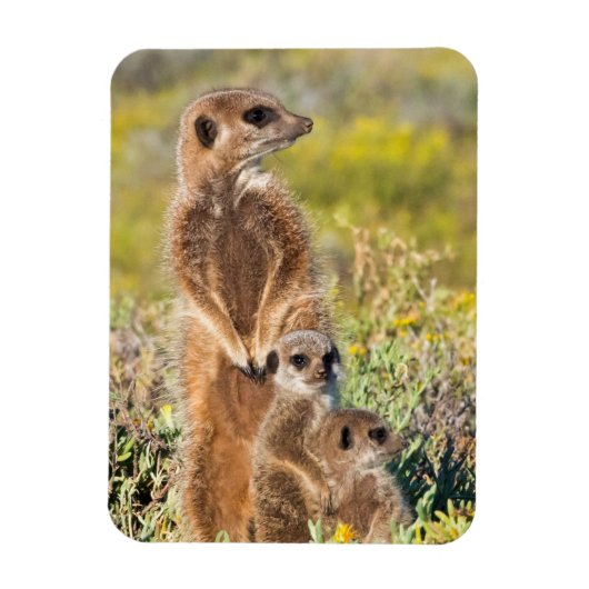 Portret van de familie Meerkat Magneet (Verticaal)