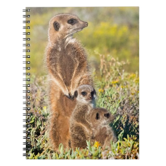 Portret van de familie Meerkat Notitieboek (Voorkant)