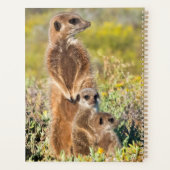 Portret van de familie Meerkat Planner (Achterkant)