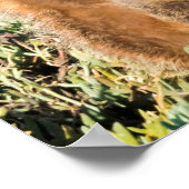 Portret van de familie Meerkat Poster (Hoek)