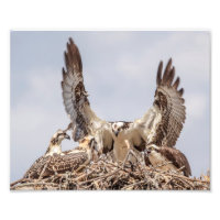 Portret van de familie Osprey