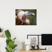 Portret van de gier poster (Thuiskantoor)