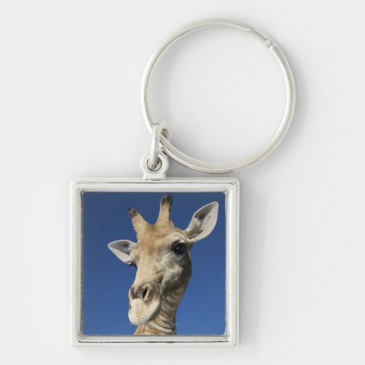 Portret van de Giraffe (Giraffa Camelopardalis) 2 Sleutelhanger (Voorkant)