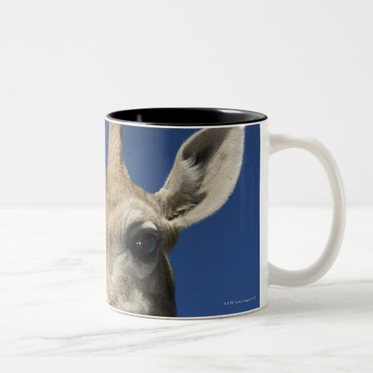 Portret van de Giraffe (Giraffa Camelopardalis) 2 Tweekleurige Koffiemok (Rechts)