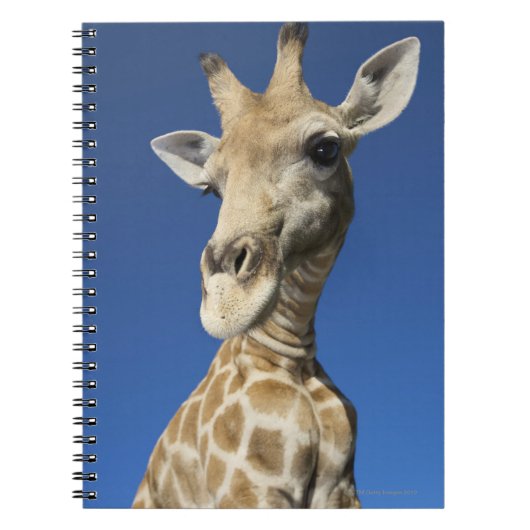 Portret van de Giraffe (Giraffa Camelopardalis) Notitieboek (Voorkant)