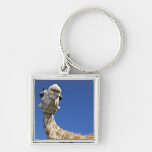 Portret van de Giraffe (Giraffa Camelopardalis) Sleutelhanger (Voorkant)