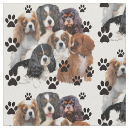 Portret van de groep Cavalier Spaniels Stof