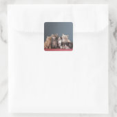 Portret van de groep kittens vierkante sticker (Tas)