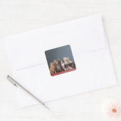 Portret van de groep kittens vierkante sticker (Envelop)