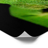 Portret van de heuvelnicht poster (Hoek)