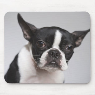 Portret van de hond muismat