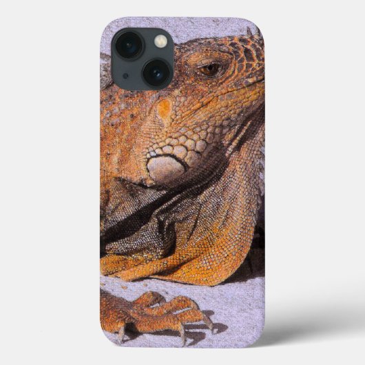 Portret van de Iguana Case-Mate iPhone Case (Achterkant)
