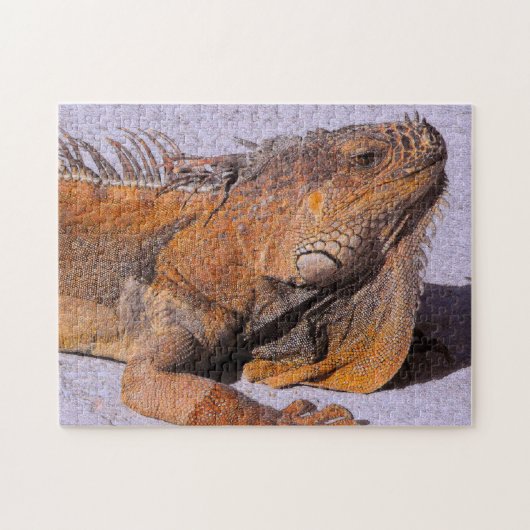 Portret van de Iguana Legpuzzel (Horizontaal)