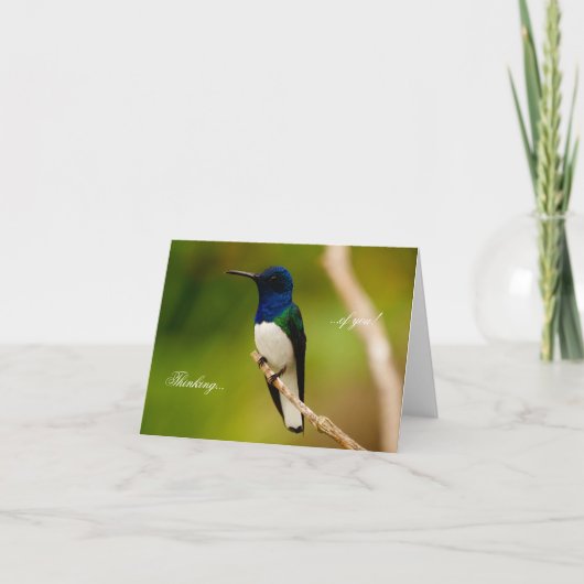 Portret van de Kaart van de Nota van de Overzichte (Voorkant)