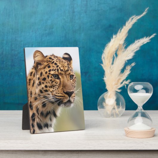 Portret van de kant van het gepotte leopard fotoplaat (Zijkant)