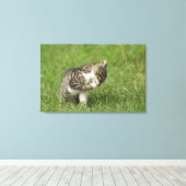 Portret van de kat canvas afdruk (Insitu (Houten vloer))