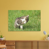 Portret van de kat canvas afdruk (Insitu (Woonkamer))